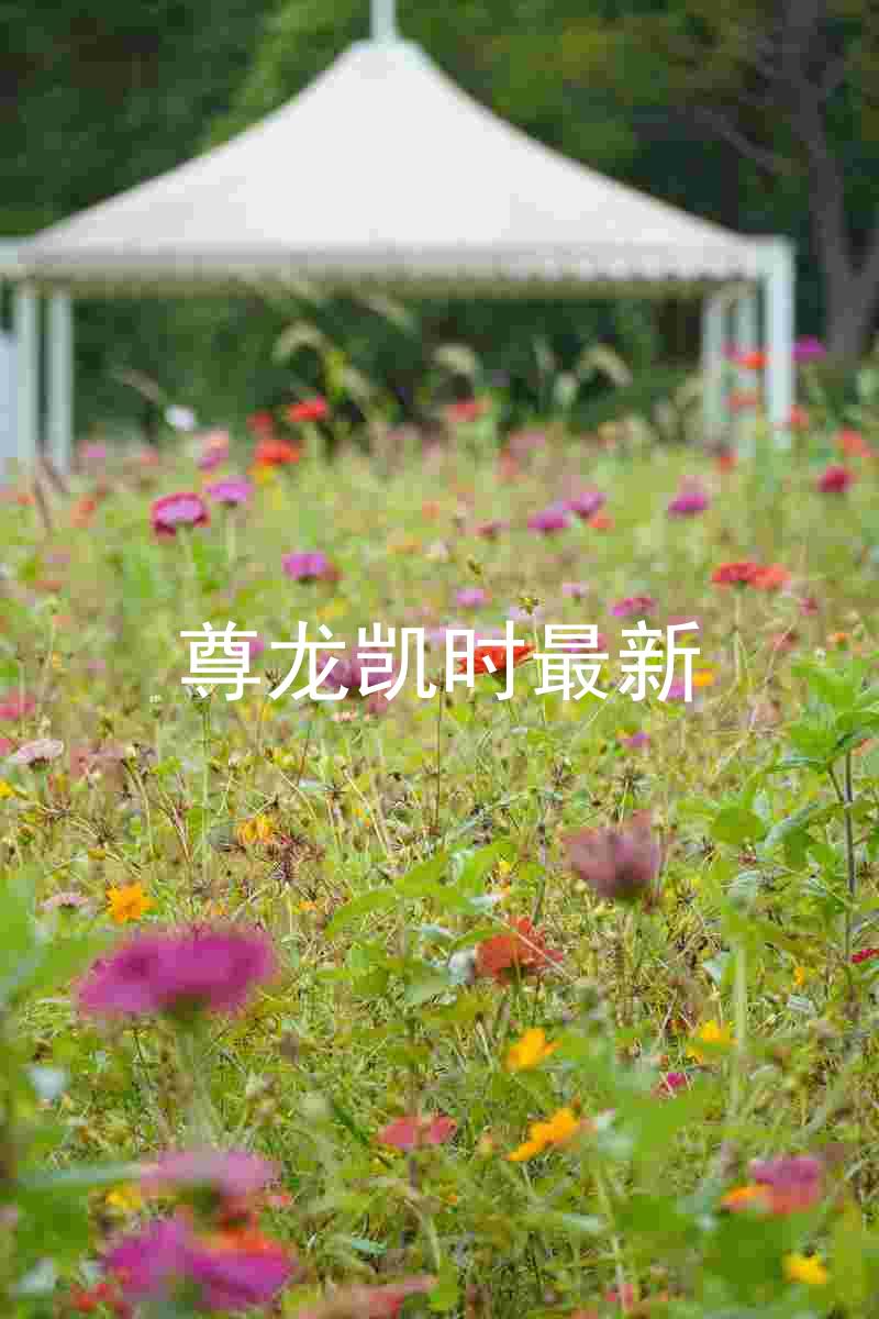 尊龙凯时最新