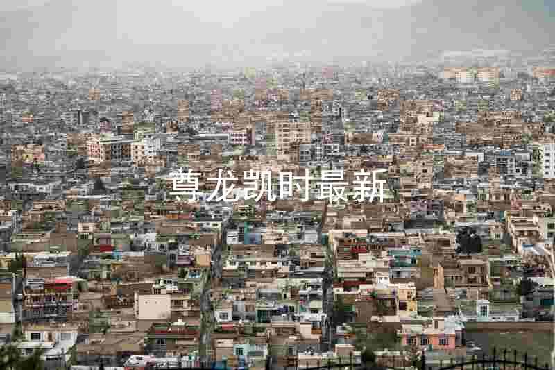 尊龙凯时最新